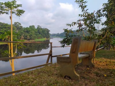 Banc au bord du fleuve Nyong à Ebogo – Nature paisible du Cameroun