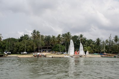 Voiliers et cocotiers – Escale nautique sur la lagune à Abidjan