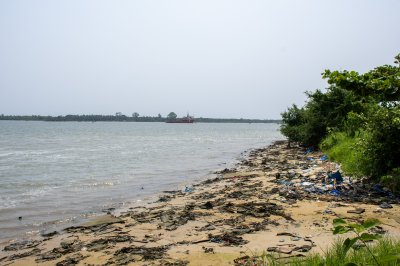 Écologie & Environnement
