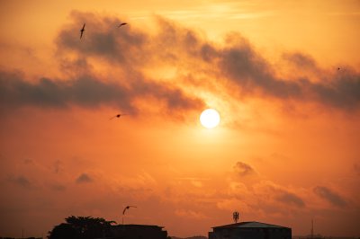 Vol d'oiseaux au coucher de soleil – Ciel de feu à Abidjan