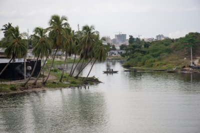 Scène paisible sur un canal bordé de cocotiers à Abidjan