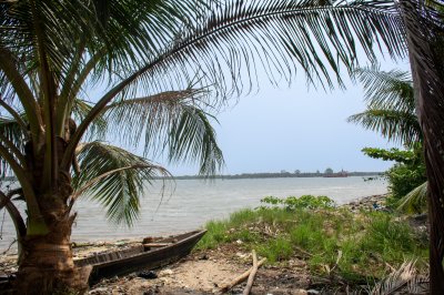 Traditionnel canoeing sous le palmiers à Yopougon, Abidjan