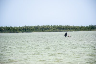 Naviguant pirogue sur le lagune face à un palm forêt – Abidjan