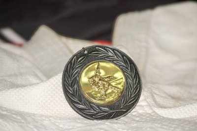 Bronze et gold judo médaille avec projection motif – Martial arts award
