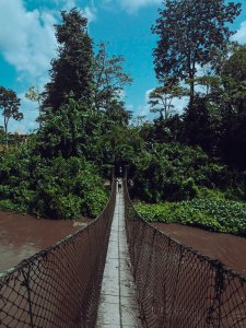 Pont suspendu à le Bandama forêt – Côte d'Ivoire, crossing through le heart de tropical nature