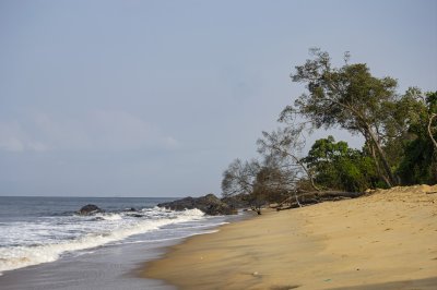Doré sable plage à Kribi, Cameroun, avec trees par le sea