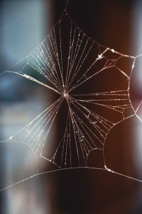 Toile d’araignée minimaliste en lumière naturelle – Art fragile de la nature