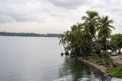 Palmiers par le lagune à Abidjan - luxuriant nature et paisible shore