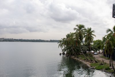 Palmiers sur le edge de le lagune à Abidjan - urban nature et tropical charm