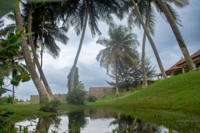 Tropical palmiers par un paisible pond - nuageux ciel et luxuriant vegetation
