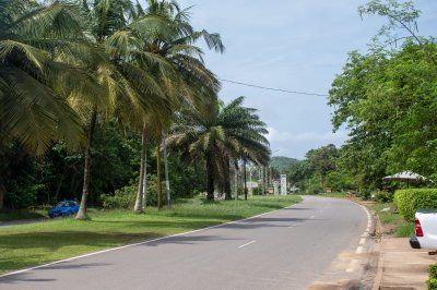 Paisible palm-lined road à le entrée vers San Pedro, Côte d'Ivoire