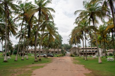 Coconut palm avenue menant vers un hôtel complex à San Pedro, Côte d'Ivoire