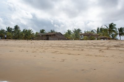 San Pedro plage, Côte d'Ivoire avec wooden paillotes et tropical palmiers