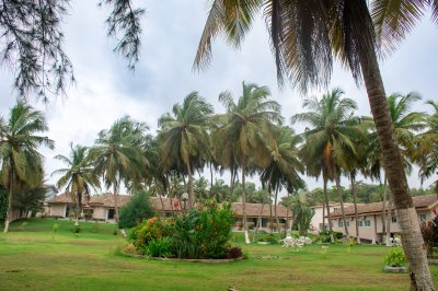 Tropical complexe hôtelier avec palmiers et un luxuriant vert jardin
