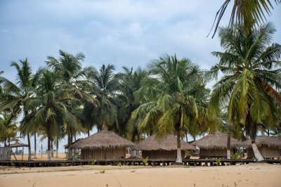 Traditionnel paillotes et cocotiers sur San Pedro plage