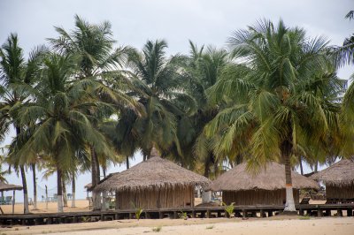 Traditionnel straw paillotes sous palmiers – San Pedro plage, Côte d'Ivoire