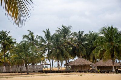 Tropical plage avec palmiers et traditionnel straw paillotes – San Pedro, Côte d'Ivoire