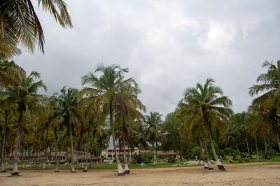 Tropical cocotiers et un hôtel complex sur le ivoirien côte