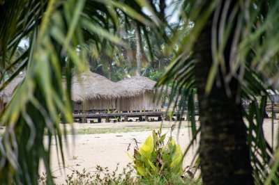 Traditionnel plage paillotes through palmiers – San Pedro, Côte d'Ivoire