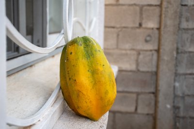 Mûr papaya avec yellow et vert hues