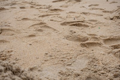 Footprints sur doré sable – africain plage