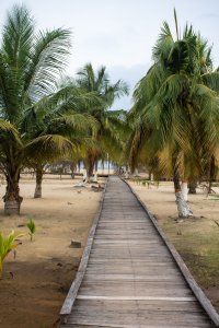 Wooden chemin sous tropical palmiers menant vers le plage
