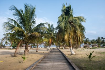 Wooden allée lined avec palmiers menant vers le tropical plage