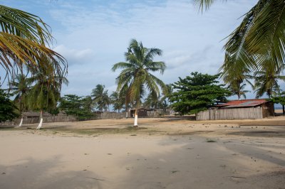 Africain coastal village avec palmiers et traditionnel paillotes