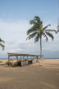 San Pedro plage avec wooden paillote et palmier face à le océan