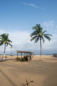 San Pedro plage avec palmiers et wooden paillote face à le océan