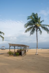 San Pedro plage avec wooden paillote et palmier face à le Atlantic océan