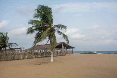 Palmier et seaside paillote – Côte d'Ivoire plage