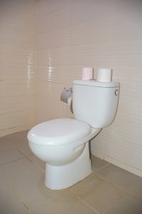 Moderne toilettes avec white toilettes bowl et toilettes paper
