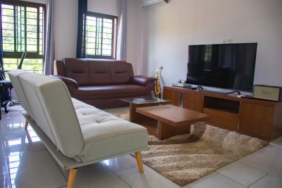 Moderne salon avec sofa, télévision, et contemporain decor