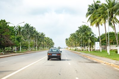 Palm-lined avenue à Yamoussoukro, Côte d'Ivoire – paisible, tropical road