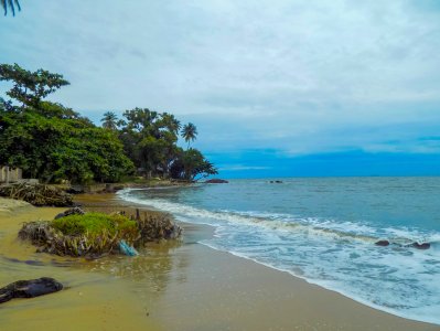 Sauvage plage de Kribi, Cameroun – doré sable et tropical nature par le océan