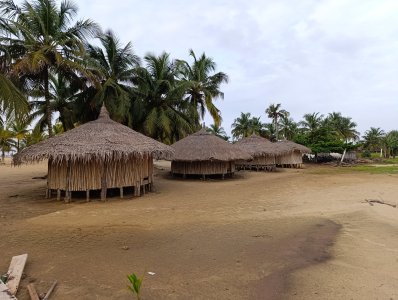 Photograph de un group de traditionnel bambou paillotes sur un Côte d'Ivoire plage lined avec cocotiers.