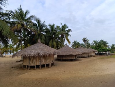 Photograph de un group de bambou paillotes sur un Côte d'Ivoire plage, entouré de vert cocotiers.