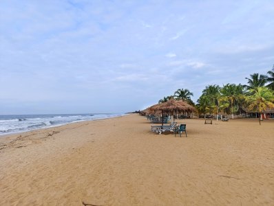 Photograph de un paisible plage à Fresco, Côte d'Ivoire. le doré sable, en chaume parasols, et rows de palmiers create un relaxing, tropical atmosphere.