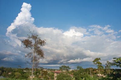 Un tropical landscape à Côte d'Ivoire sous un vast ciel bleu adorned avec monumental nuages. un solitary tree dominates le scene.