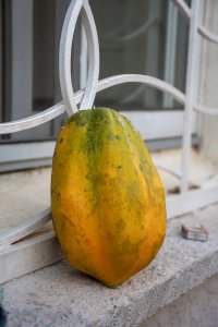 Un mûr papaya avec yellow et vert hues, placed sur un windowsill