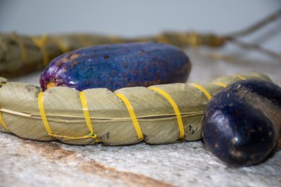 Food photography showcasing camerounais bâtons de manioc accompanied par africain prunes, also known as safous.
