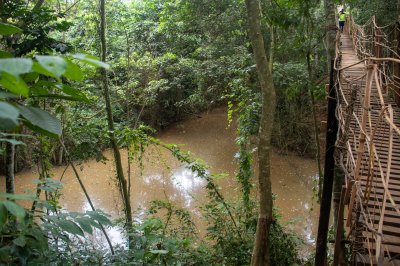 Pont de liane sur un forêt rivière à Cameroun – sauvage nature et africain heritage