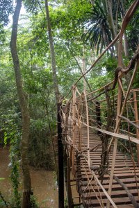 Suspendu pont made de vines à le forêt tropicale de Cameroun – aventure et wilderness