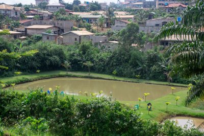 Vue panoramique de un traditionnel village à le hills above Bafoussam, Cameroun. un immersion à le natural beauty et vie quotidienne de le Grassfields.