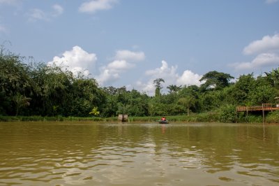 Calm rivière Landscape à Cameroun avec tropical Vegetation
