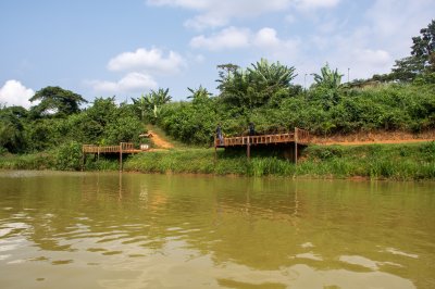 Berge Scene à Cameroun avec Wooden pont et tropical Greenery