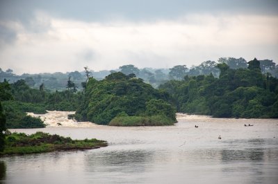 Photograph de small vert islets emerging depuis le Sanaga rivière, un emblem de natural et tropical Cameroun.