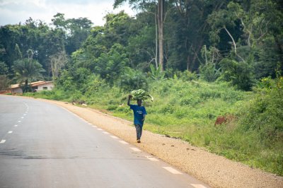 Homme marchant alone along un road à rural Africa avec un bunch de plantains sur his head.