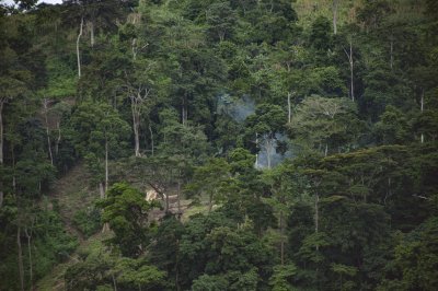 Vue aérienne de le forêt sur Mont Fébé à Yaounde